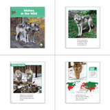 Little Red Riding Hood Theme Guided Reading Set