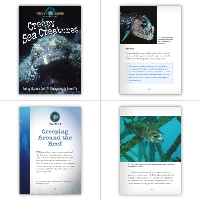 Underwater Encounters Guided Reading Set