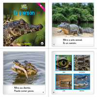 Zoozoo Mundo Animal Complete Set (6-Packs)