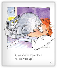 A Book for Pet Cats from Joy Cowley Collection