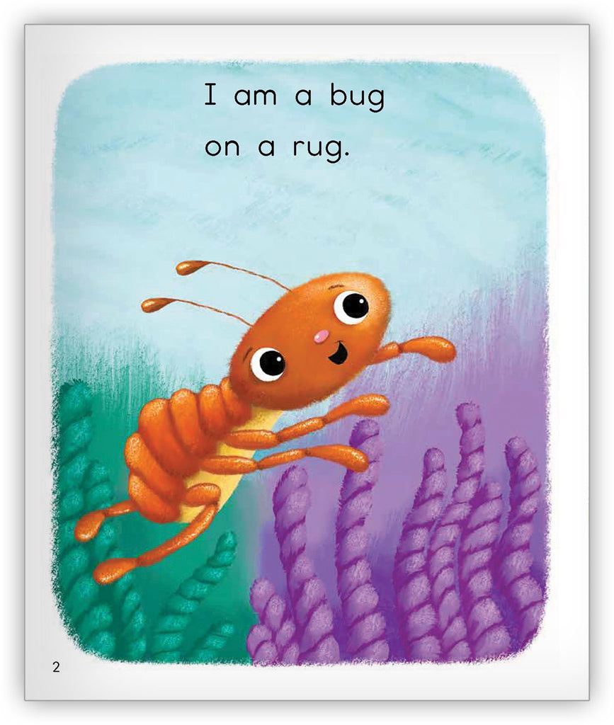 A Bug on a Rug - Joy Cowley Early Birds - Hameray Publishing