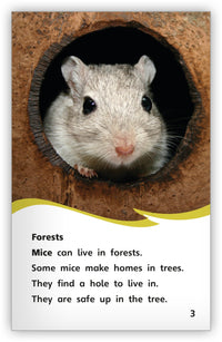 A House for a Mouse from Fables & the Real World