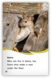 A House for a Mouse from Fables & the Real World