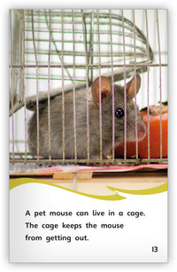 A House for a Mouse from Fables & the Real World