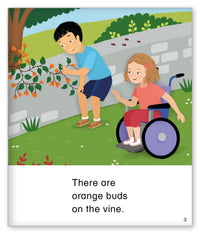 A Rainbow of Colors from Kid Lit