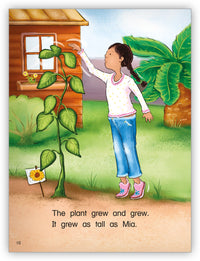 A Surprise For Mia from Kaleidoscope Collection