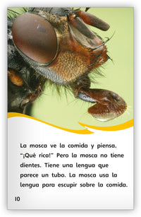 A través del ojo de una mosca from Fábulas y el Mundo Real