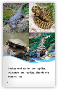 All About Lizards from Fables & the Real World