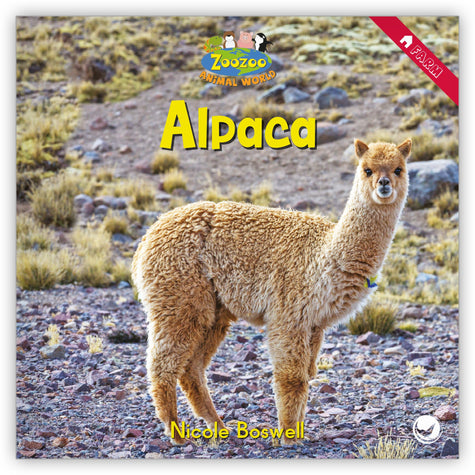 Alpaca from Zoozoo Animal World
