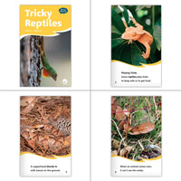 Amphibians & Reptiles Theme Set (6-Packs)