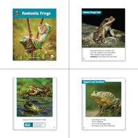 Amphibians & Reptiles Theme Set