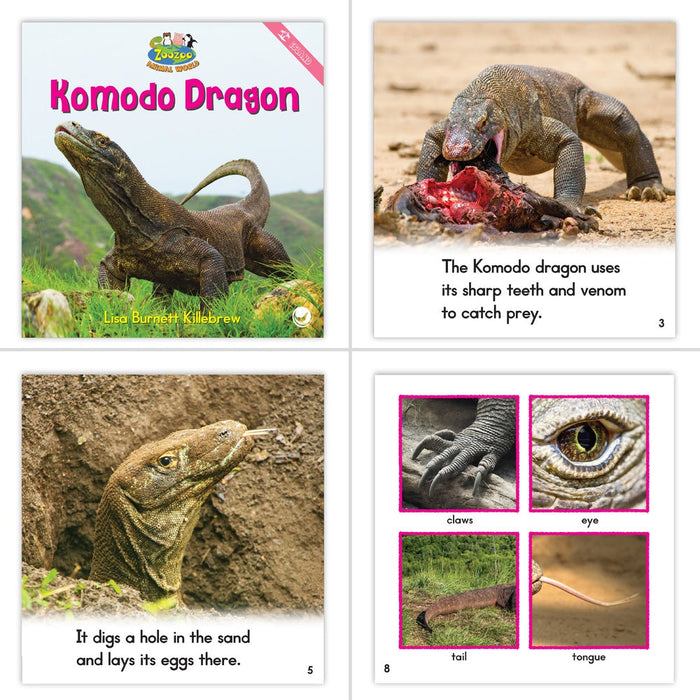 Amphibians & Reptiles Theme Set