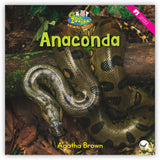 Anaconda from Zoozoo Animal World