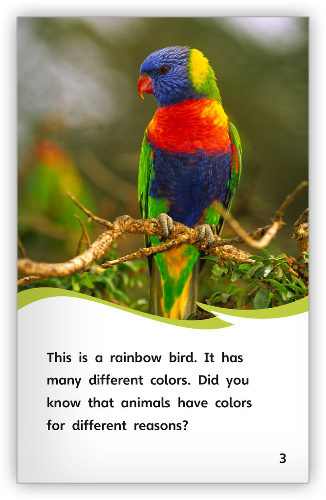 Animal Colorings - Fables & the Real World - Hameray Publishing