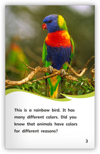 Animal Colorings from Fables & the Real World