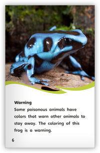 Animal Colorings from Fables & the Real World