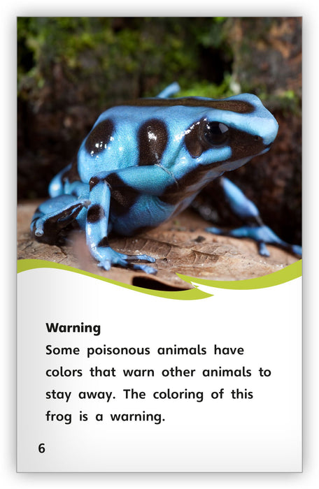 Animal Colorings - Fables & the Real World - Hameray Publishing