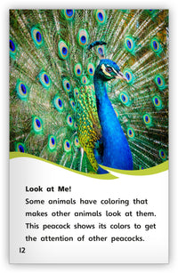 Animal Colorings from Fables & the Real World