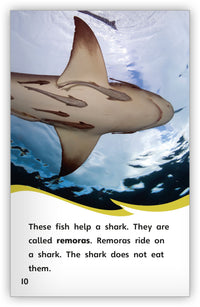 Animal Helpers from Fables & the Real World