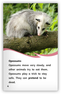 Animal Tricksters from Fables & the Real World