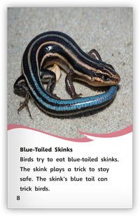 Animal Tricksters from Fables & the Real World