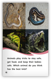 Animal Tricksters from Fables & the Real World