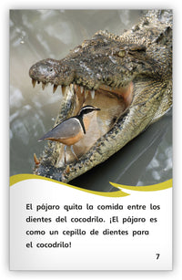 Animales como ayudantes from Fábulas y el Mundo Real