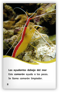 Animales como ayudantes from Fábulas y el Mundo Real