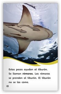 Animales como ayudantes from Fábulas y el Mundo Real