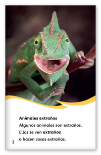 Animales extraños por todos lados from Fábulas y el Mundo Real