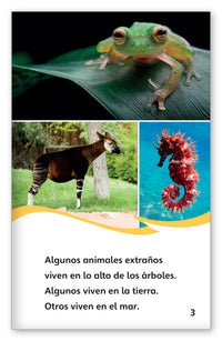 Animales extraños por todos lados from Fábulas y el Mundo Real