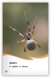 Animals Are Clever Leveled Book