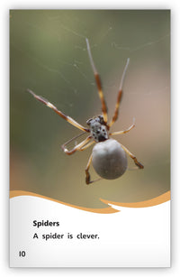 Animals Are Clever Leveled Book