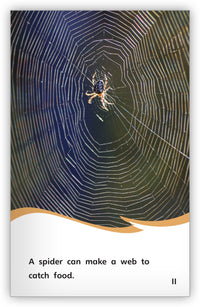 Animals Are Clever from Fables & the Real World