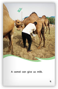 Animals That Work for Us Leveled Book