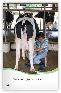 Animals That Work for Us Leveled Book