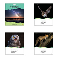 Animals Theme Set (6-Packs)