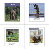 Animals Theme Set (6-Packs)