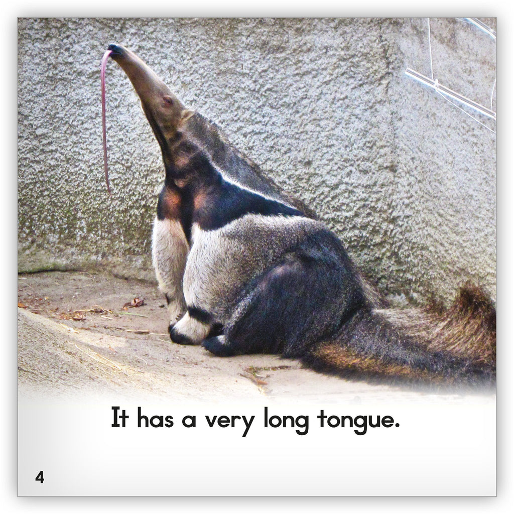 Anteater Stack Anteater Meme