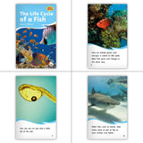 Aquatic Animals Theme Set (6-Packs)