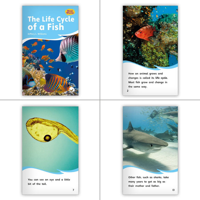 Aquatic Animals Theme Guided Reading Set