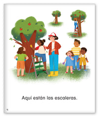 Aquí están las manzanas