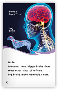 Are You a Mammal? from Fables & the Real World