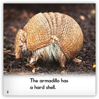 Armadillo Big Book