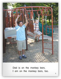 At the Playground Big Book