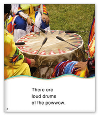 At the Powwow from Kid Lit