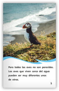 Aves acuáticas from Fábulas y el Mundo Real