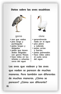 Aves acuáticas from Fábulas y el Mundo Real
