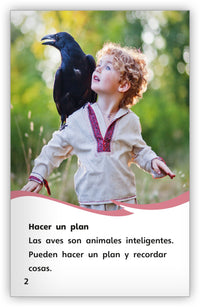 Aves inteligentes, Aves asombrosas from Fábulas y el Mundo Real