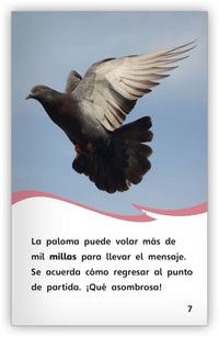 Aves inteligentes, Aves asombrosas from Fábulas y el Mundo Real